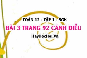Bài 3 trang 92 Toán 12 tập 1 Cánh Diều